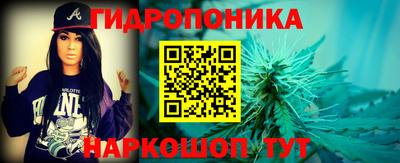 амф Кимры